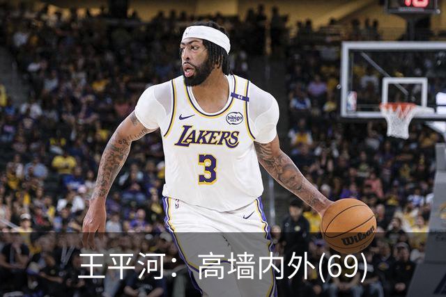 王平河：高墙内外(6/9)